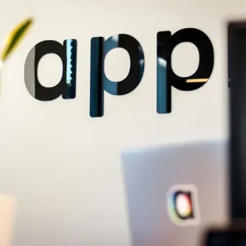 Servicio app borx tech
